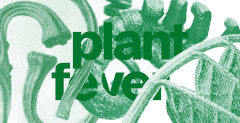 Plant Fever – Design aus der Pflanzenperspektive